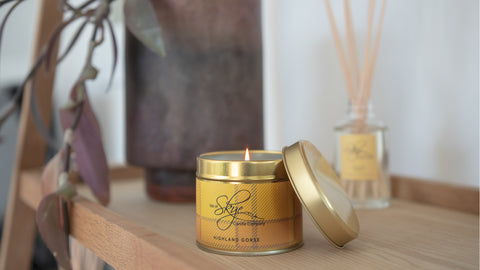 
                  
                    Highland Gorse Reed Diffuser
                  
                
